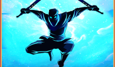 Shadow Ninja Revenge